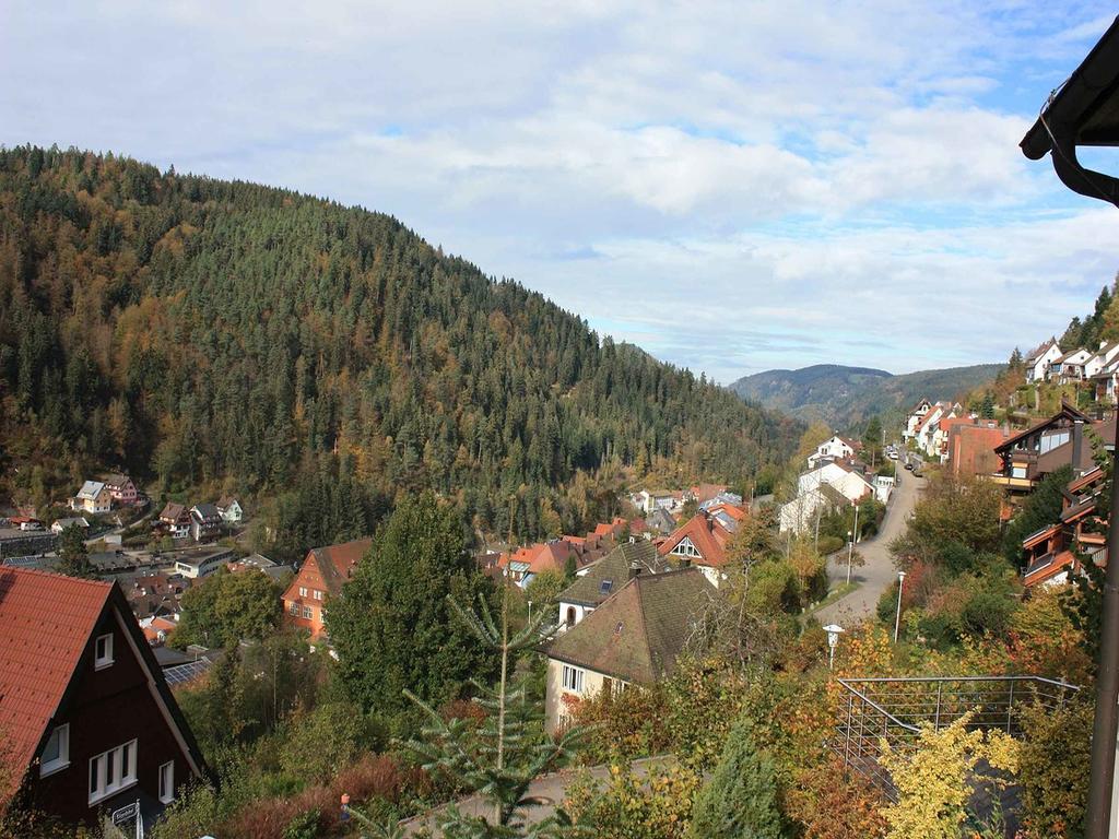 Ferienwohnung King Triberg im Schwarzwald Eksteriør bilde